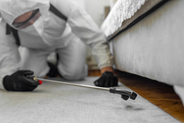 Professional Cockroach Control technician working in Slinger, WI